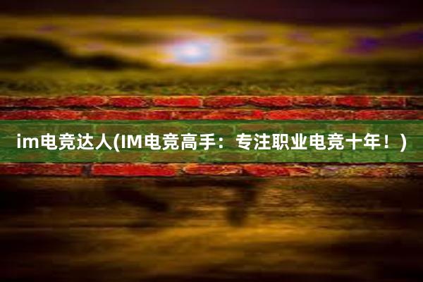 im电竞达人(IM电竞高手：专注职业电竞十年！)