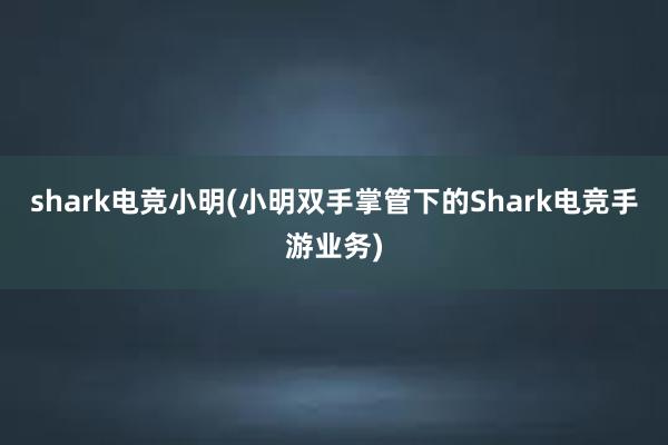 shark电竞小明(小明双手掌管下的Shark电竞手游业务)