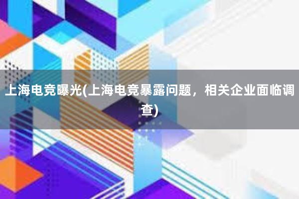 上海电竞曝光(上海电竞暴露问题，相关企业面临调查)