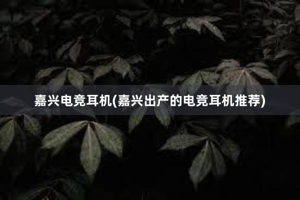 嘉兴电竞耳机(嘉兴出产的电竞耳机推荐)