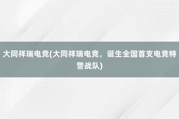 大同祥瑞电竞(大同祥瑞电竞，诞生全国首支电竞特警战队)