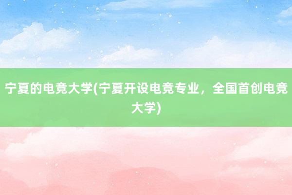 宁夏的电竞大学(宁夏开设电竞专业，全国首创电竞大学)