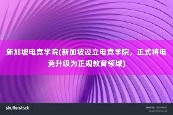 新加坡电竞学院(新加坡设立电竞学院，正式将电竞升级为正规教育领域)