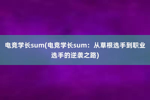 电竞学长sum(电竞学长sum：从草根选手到职业选手的逆袭之路)