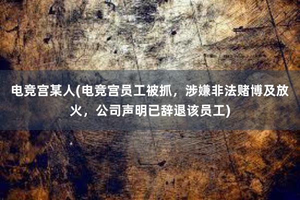 电竞宫某人(电竞宫员工被抓，涉嫌非法赌博及放火，公司声明已辞退该员工)