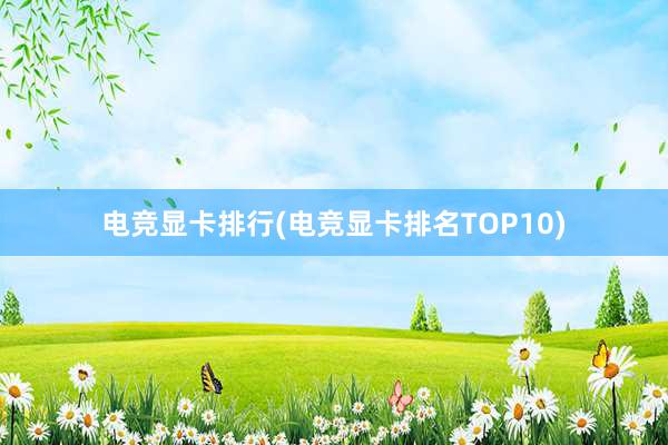 电竞显卡排行(电竞显卡排名TOP10)