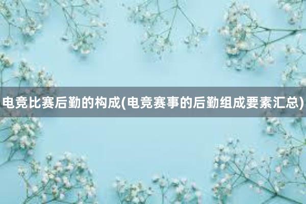 电竞比赛后勤的构成(电竞赛事的后勤组成要素汇总)