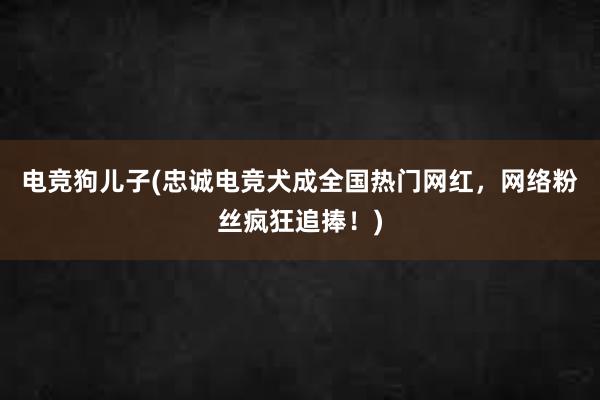 电竞狗儿子(忠诚电竞犬成全国热门网红，网络粉丝疯狂追捧！)