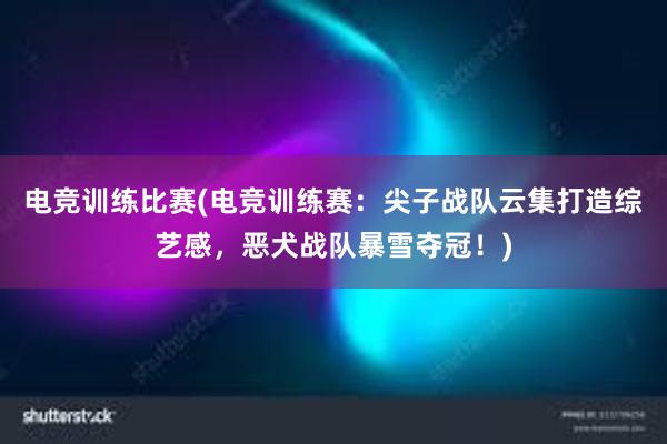 电竞训练比赛(电竞训练赛：尖子战队云集打造综艺感，恶犬战队暴雪夺冠！)