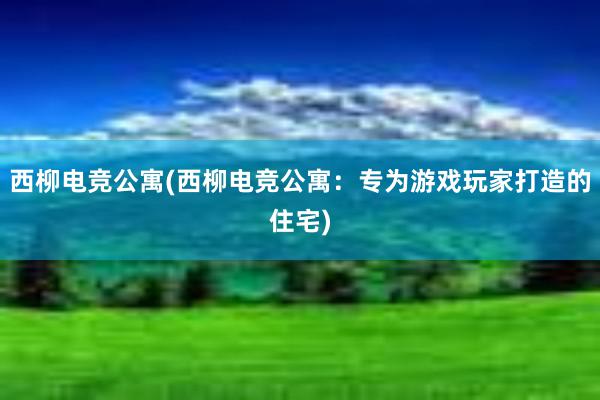 西柳电竞公寓(西柳电竞公寓：专为游戏玩家打造的住宅)