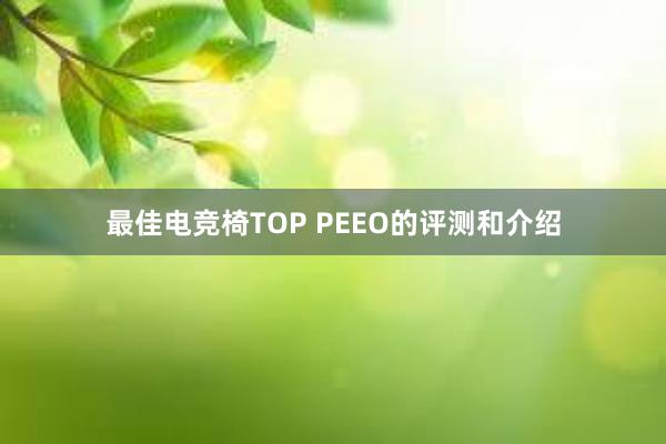 最佳电竞椅TOP PEEO的评测和介绍