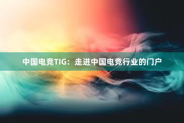 中国电竞TIG：走进中国电竞行业的门户