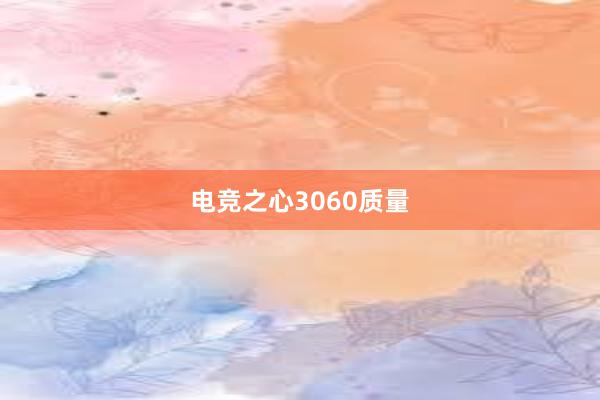 电竞之心3060质量