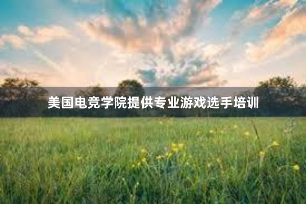 美国电竞学院提供专业游戏选手培训