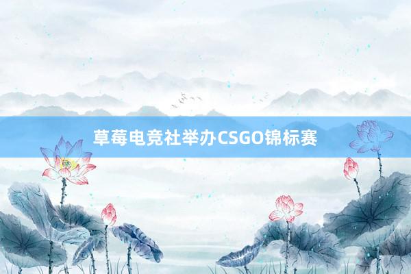 草莓电竞社举办CSGO锦标赛